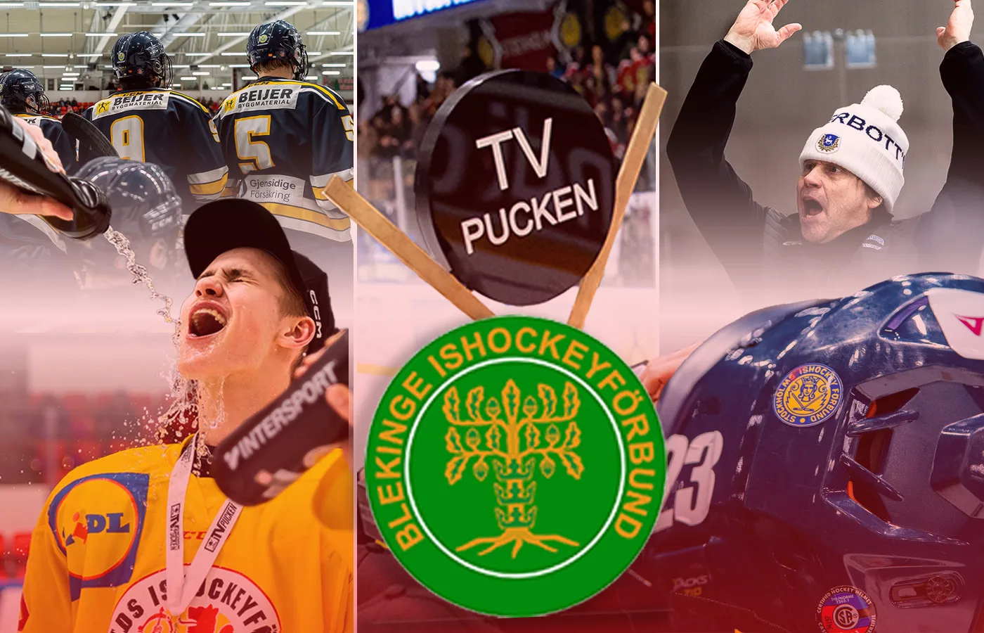 TV-pucken 2025: Blekinge – kommentarer om ALLA spelare