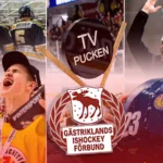 Gästrikland – kommentarer om ALLA spelare