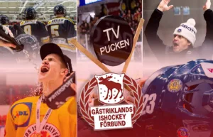 Gästrikland – kommentarer om ALLA spelare