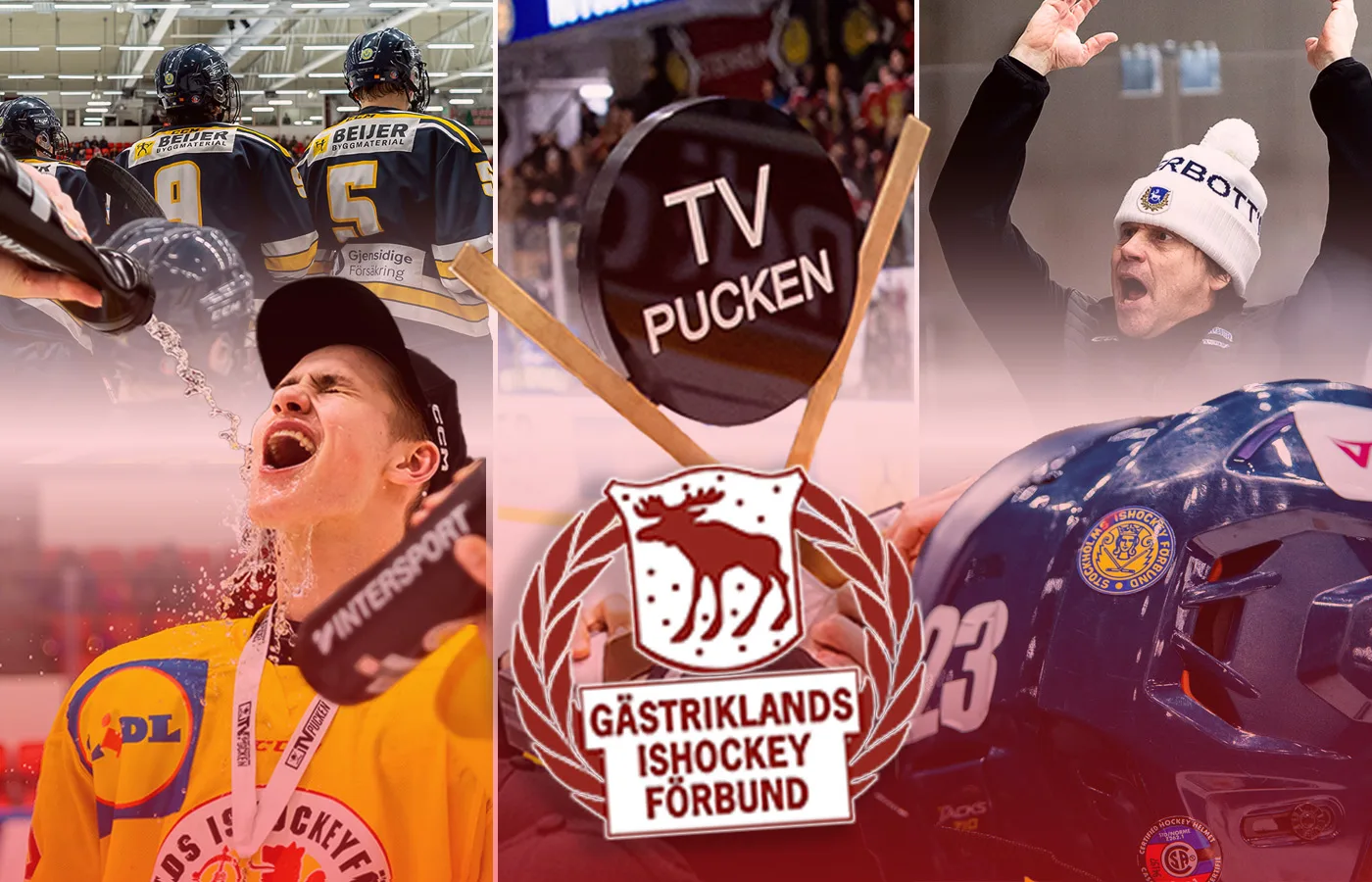 Gästrikland – kommentarer om ALLA spelare