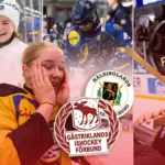 Gästrikland/Hälsingland – kommentarer om ALLA spelare