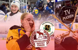 Gästrikland/Hälsingland – kommentarer om ALLA spelare