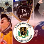 Hälsingland – kommentarer om ALLA spelare