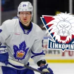 LHC agerar – värvar AHL-back