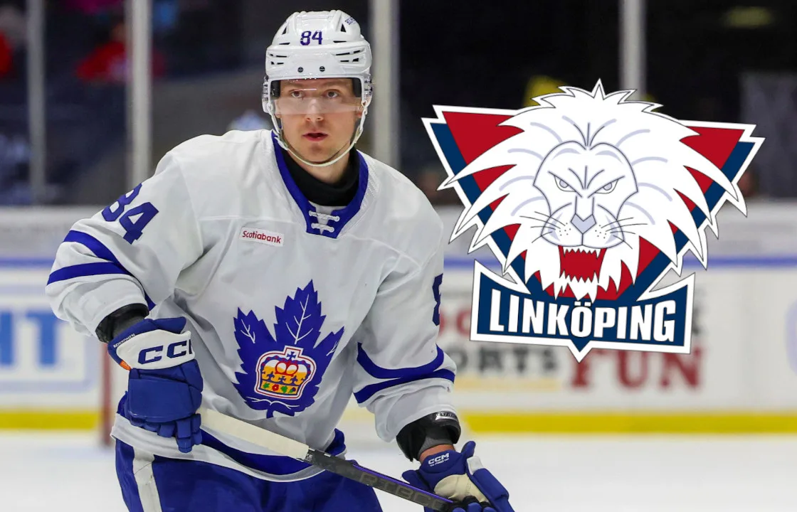 LHC agerar – värvar AHL-back