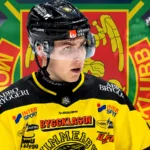 Byter allsvensk klubb: ”Rörlig tvåvägsback”