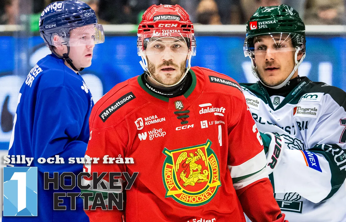 Silly och surr från Hockeyettan: ”Drömmer om storskytten”