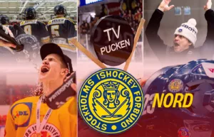 TV-pucken 2025: Stockholm Nord – kommentarer om ALLA spelare