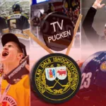 Bohuslän/Dal – kommentarer om ALLA spelare