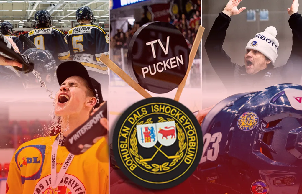 Bohuslän/Dal – kommentarer om ALLA spelare