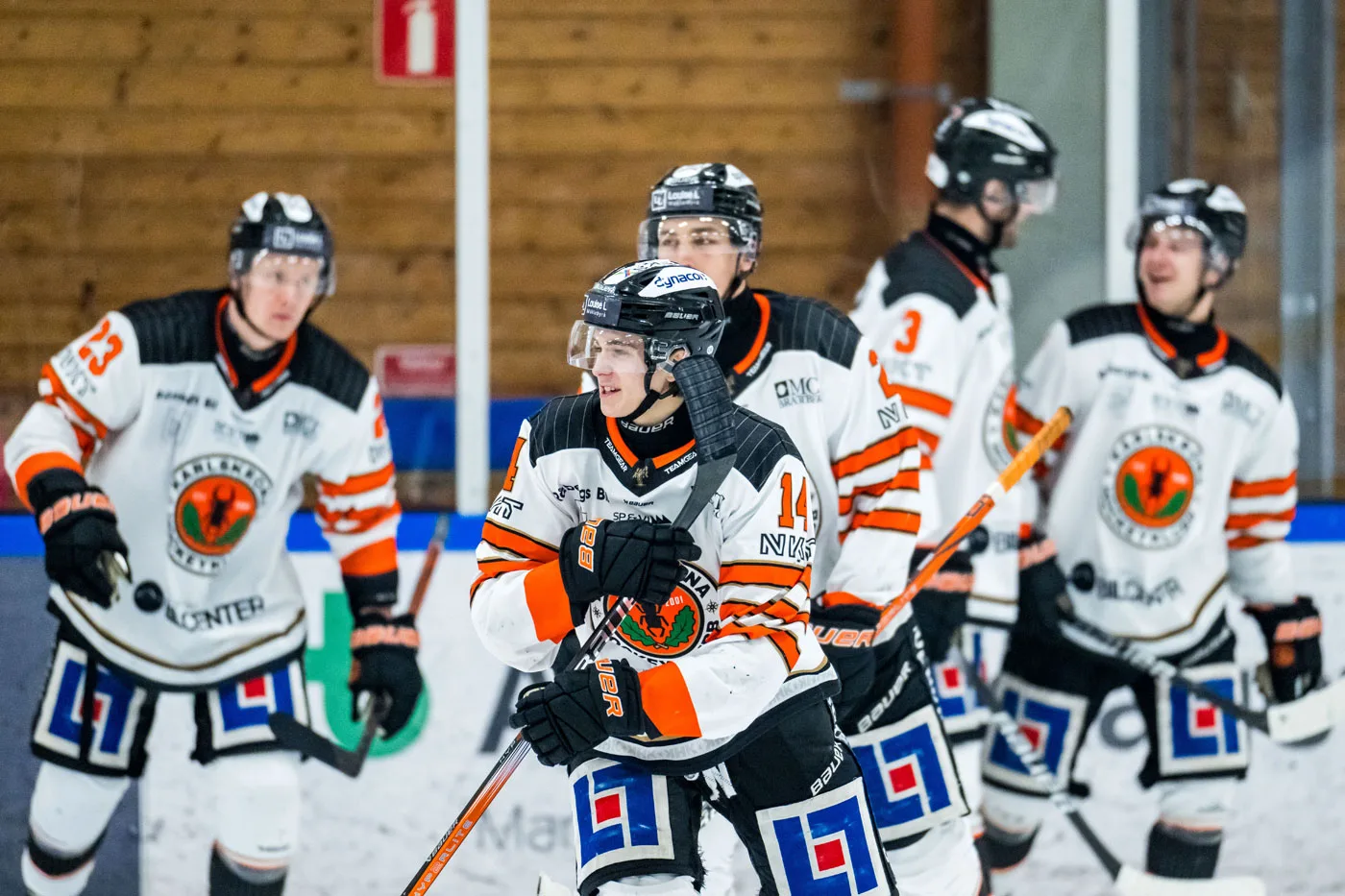 MJÖRNBERG: Ett bra lag – men är det rätt lag?