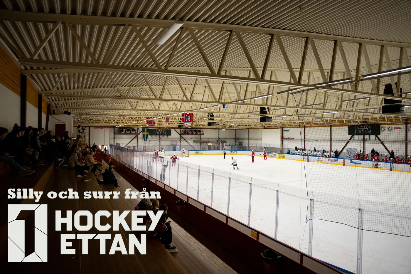 HOCKEY(H)ETTAN – Silly och surr från Hockeyettan