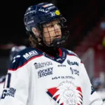 Beskedet: SDHL-veteranen lägger av