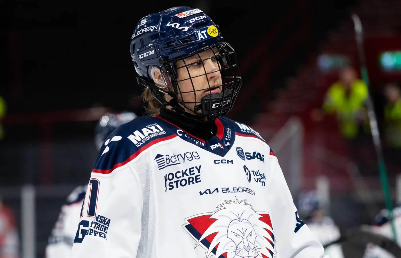 Beskedet: SDHL-veteranen lägger av
