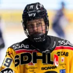 SDHL-veckan: ”Lägg det namnet på minnet”