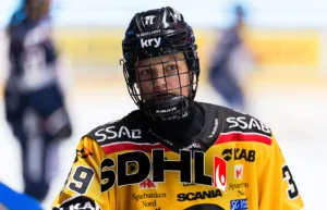 SDHL-veckan: ”Lägg det namnet på minnet”