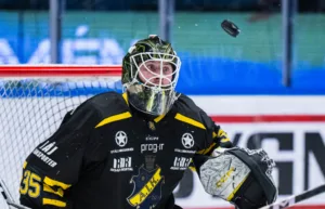 Tidigare AIK-målvakten får ny NHL-chans
