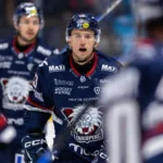 LHC:s besked – efter ryktena om stjärnan
