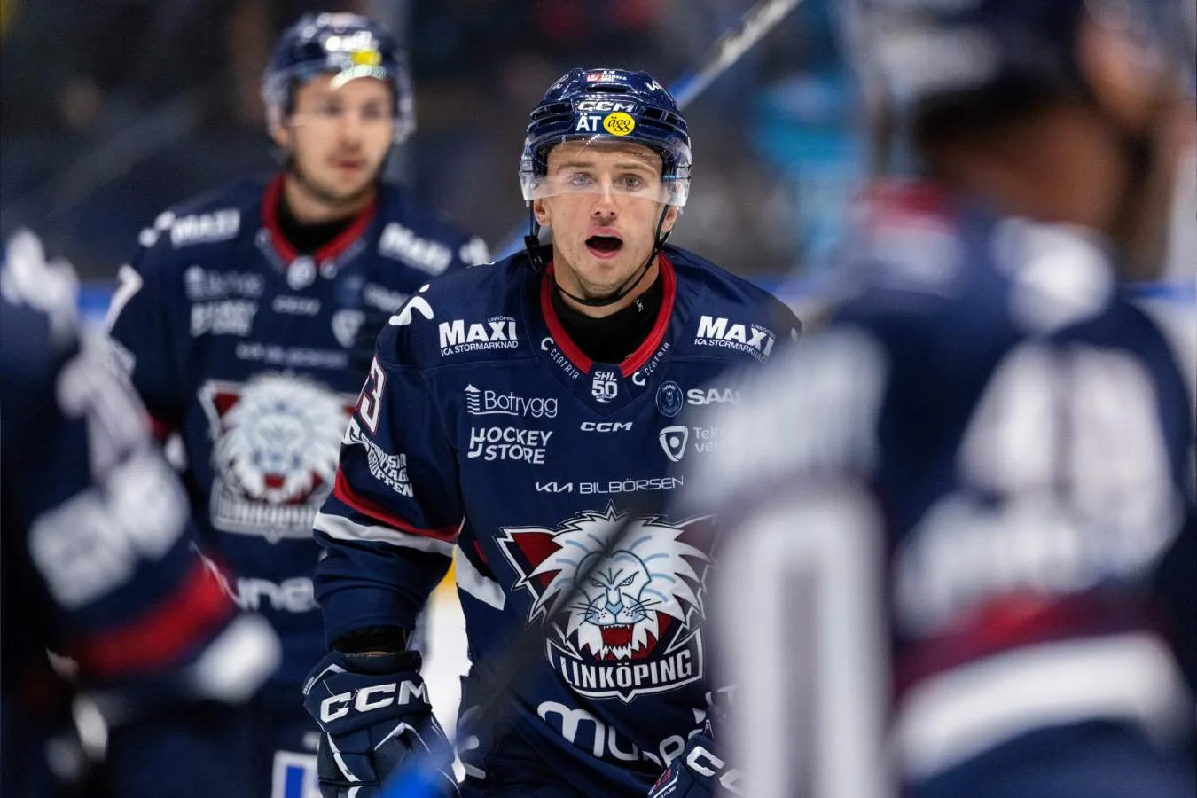 LHC:s besked – efter ryktena om stjärnan