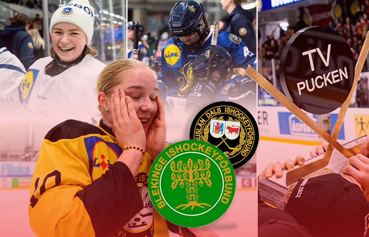 Blekinge/Bohuslän-Dal – kommentarer om ALLA spelare
