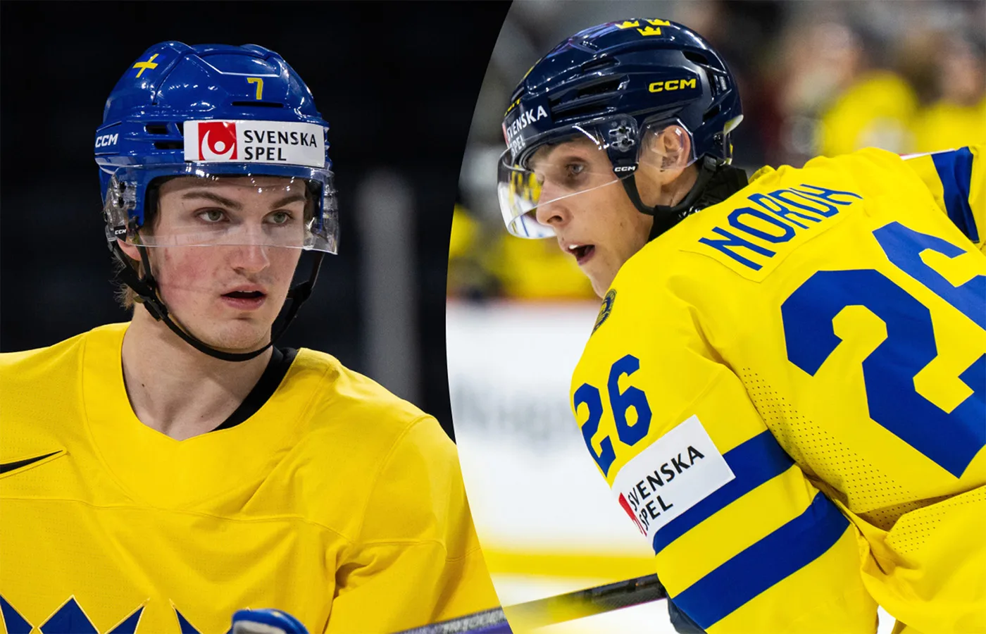 Svenska talangerna nedskickade i natt