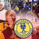 Dalarna – kommentarer om ALLA spelare
