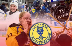 Dalarna – kommentarer om ALLA spelare