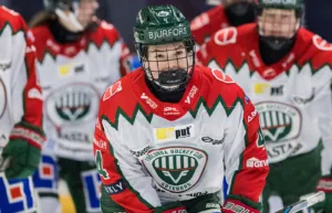 Stortalangen säkrade segern för Frölunda
