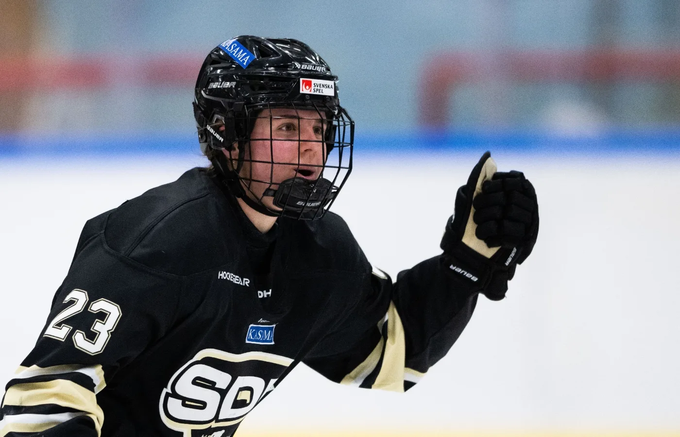 HV71 förstärker inför SDHL-premiären