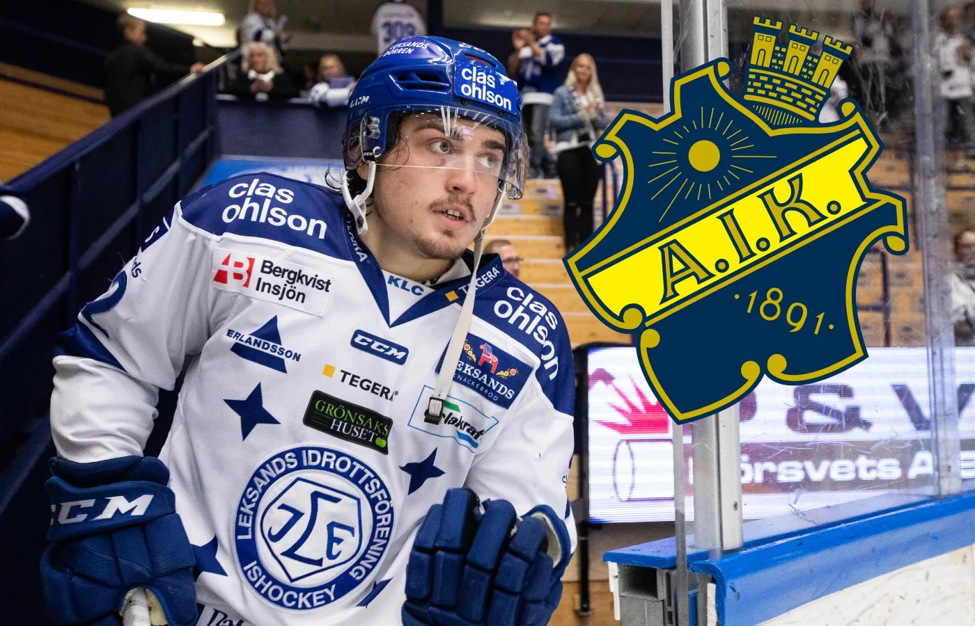 AIK lånar från Hockeyettan: ”En hårt jobbande forward”