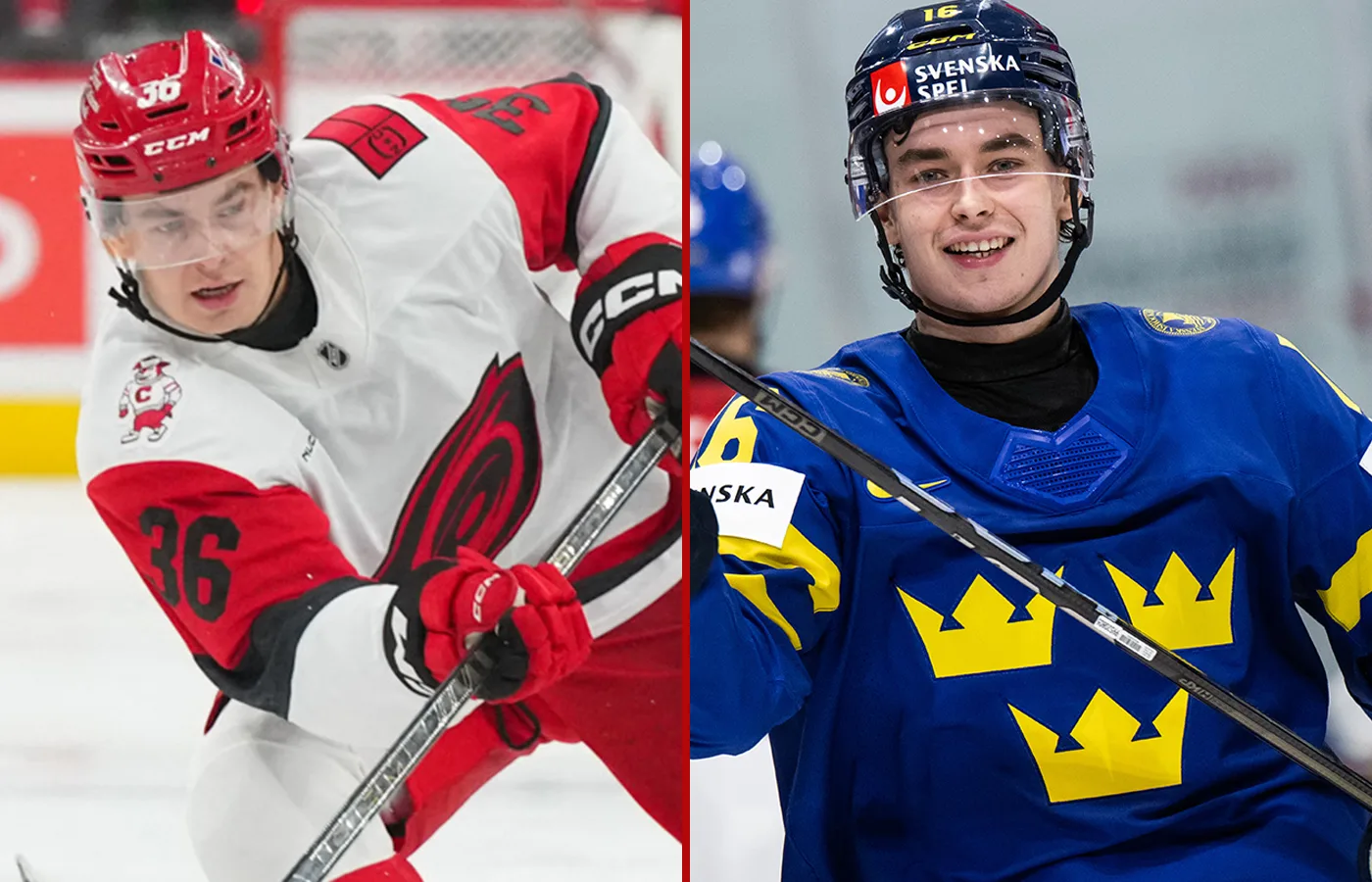 Svenske talangen jagar NHL-plats – målskytt i natt