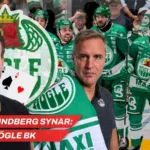 Heino-Lindberg synar: Rögle