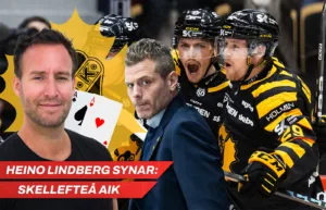 Heino-Lindberg synar: Skellefteå
