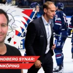 Heino-Lindberg synar: Linköping
