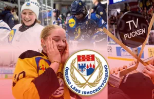 Örebro Län – kommentarer om ALLA spelare
