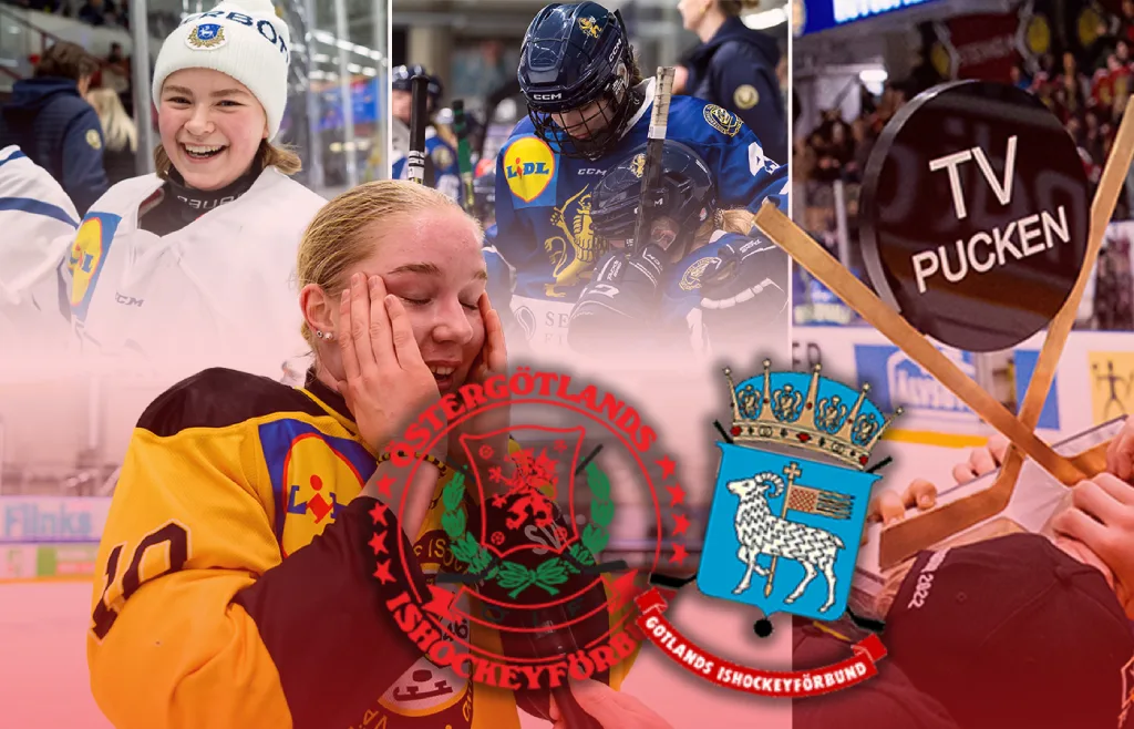 Östergötland/Gotland – kommentarer om ALLA spelare