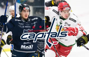 Svenske duon nedskickade till AHL