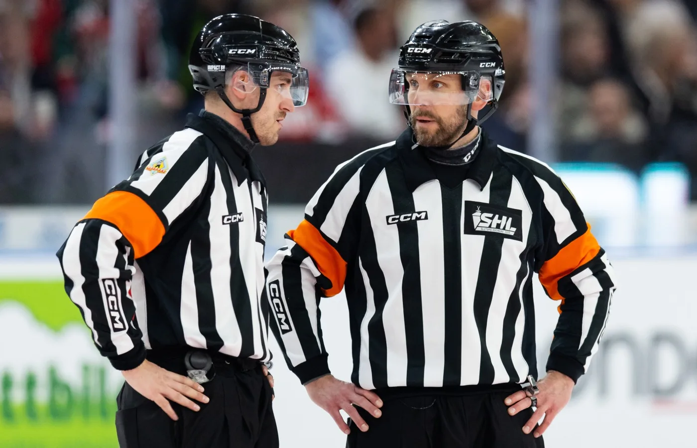 Paneldebatt: Hot och hat mot SHL:s domare