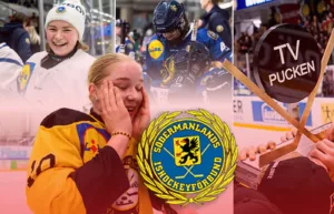 Södermanland – kommentarer om ALLA spelare