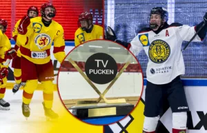 Så gick det i kvalspelet av TV-pucken – de går vidare till slutspel