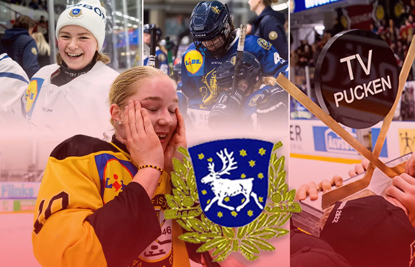 Västerbotten – kommentarer om ALLA spelare