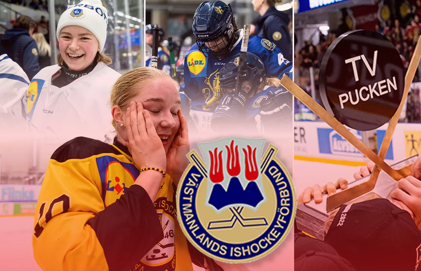 Västmanland – kommentarer om ALLA spelare