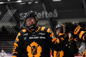 Skellefteå besegrade HV 71 med 6–3