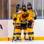 Segersviten sprack för Brynäs mot Luleå