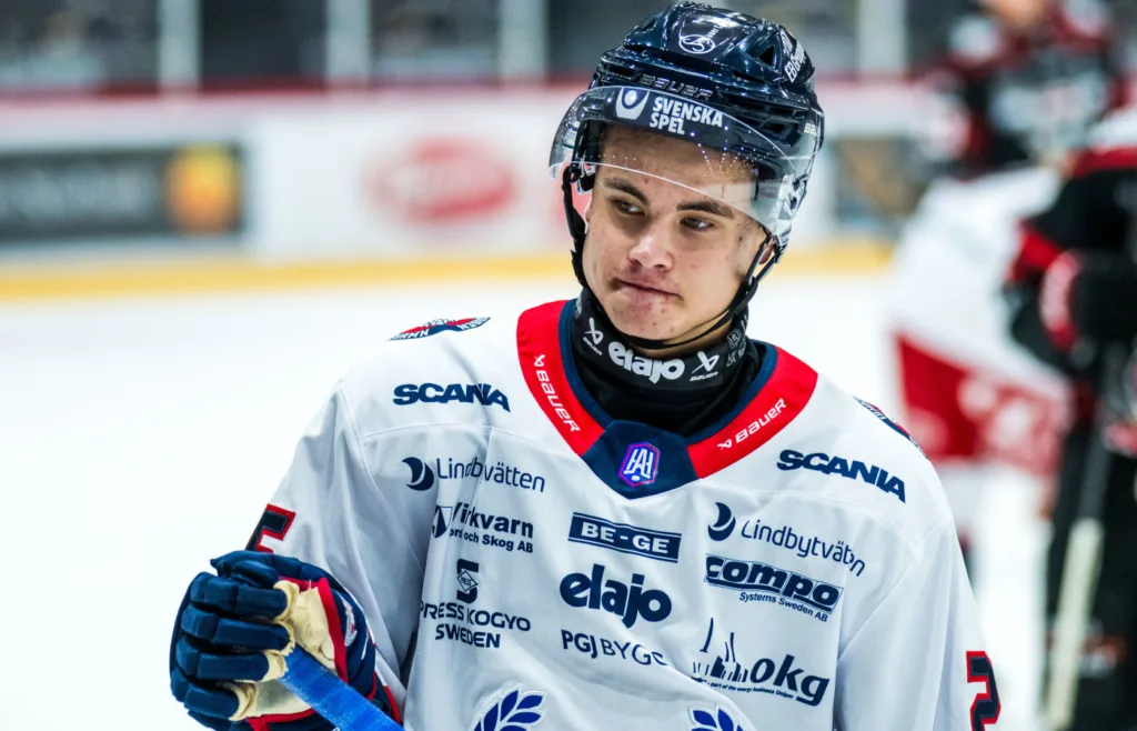 Viggo Nordlund