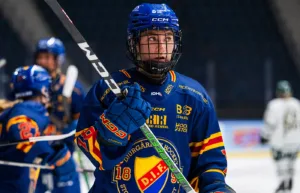 Djurgården avgjorde i tredje perioden mot Färjestad