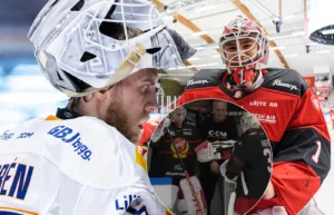 Mardrömmen – efter Herman Livs succé