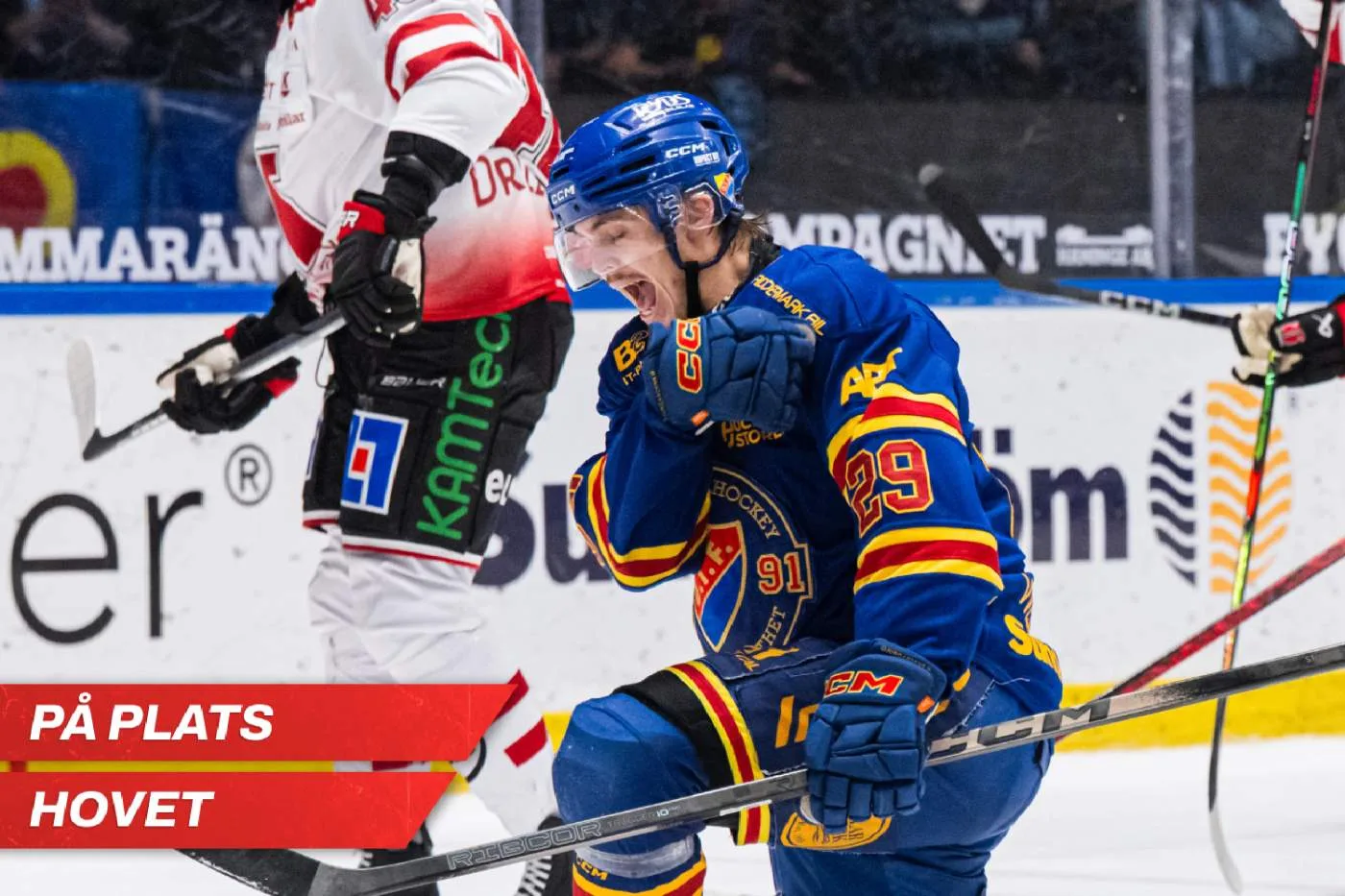 Norska målfesten på Hovet: ”Nästan sjuttonde maj i dag”
