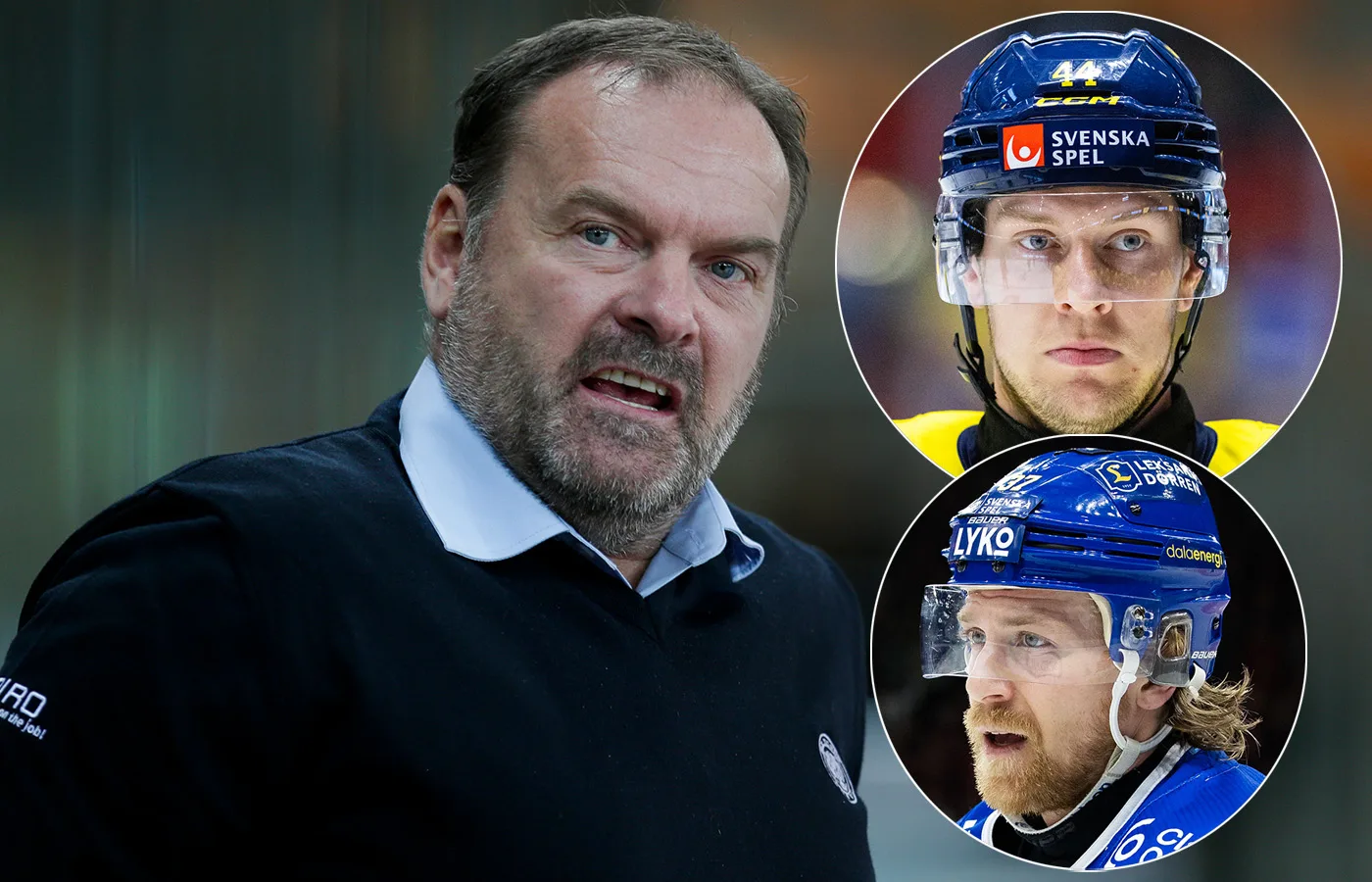 Ehlers blir svenskarnas nya tränare