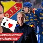 Heino-Lindberg synar: Djurgården